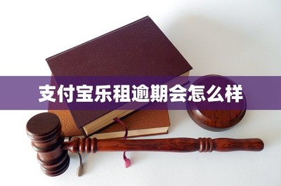 支付宝乐租逾期后果全解析 用品设备出租的违约风险与应对